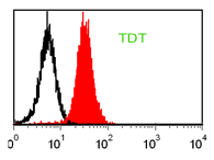 TdT