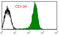 cd34