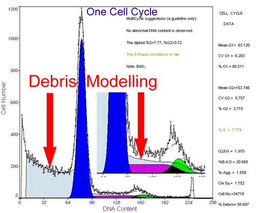 debrish modeling